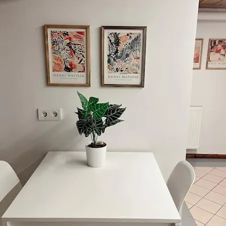 Renovated Historical Manor * Istambul