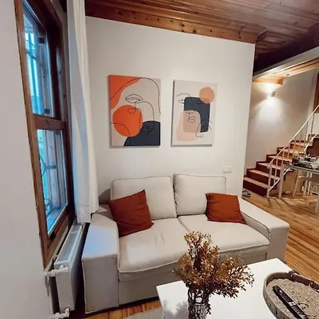 فيلة Renovated Historical Manor اسطنبول